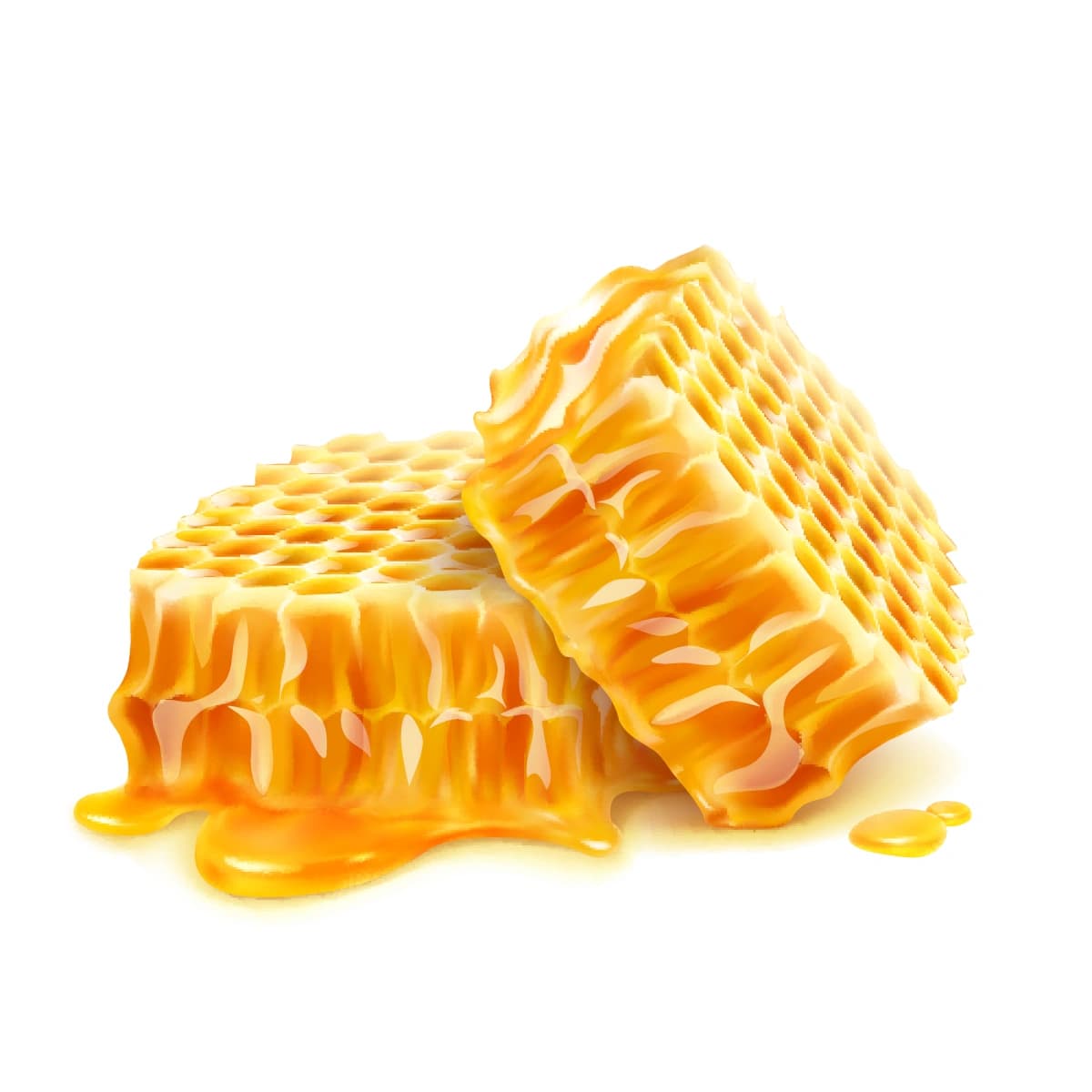 https://web-sinoite-si20.shinzui.co.id/app/uploads/2025/09/honey.webp