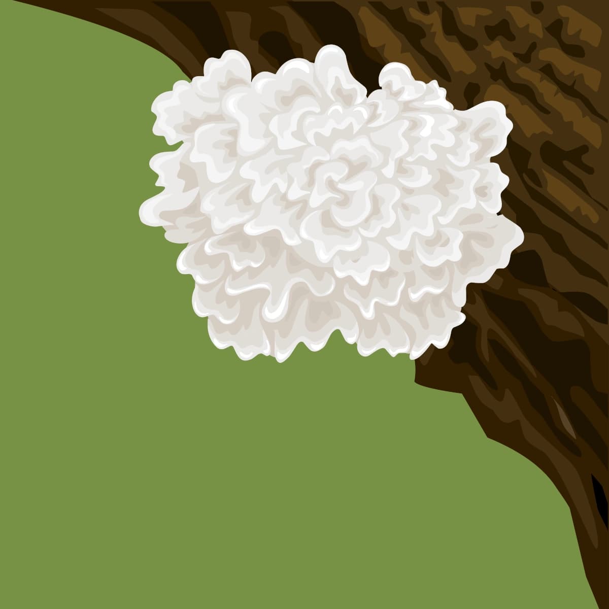 https://web-sinoite-si20.shinzui.co.id/app/uploads/2025/09/snow-mushroom.webp